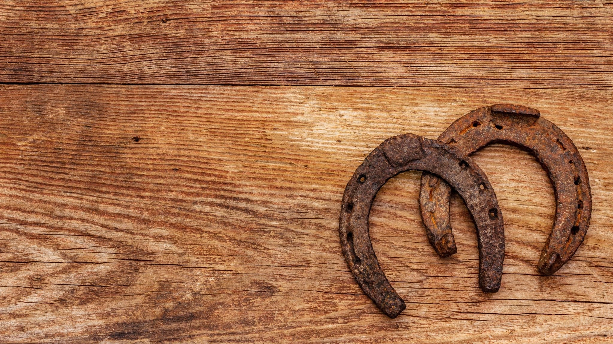 Horseshoe Meaning & Symbolism - HarperCrown
