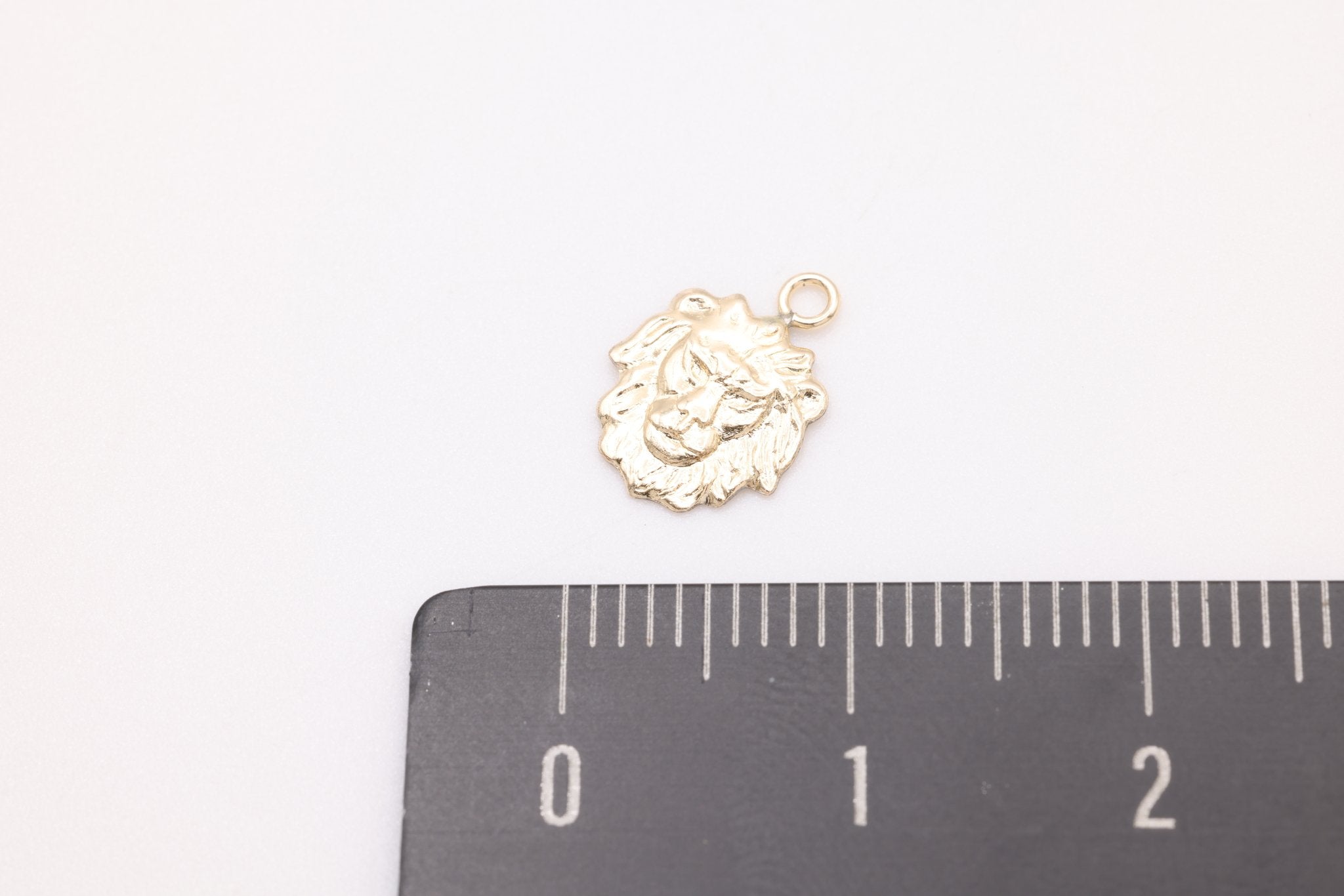 Lion Face Charm, Gold - Filled, 10mm x 8mm, King of the Jungle Charm, Bulk DIY Wholesale Jewelry Making Charm - HarperCrown