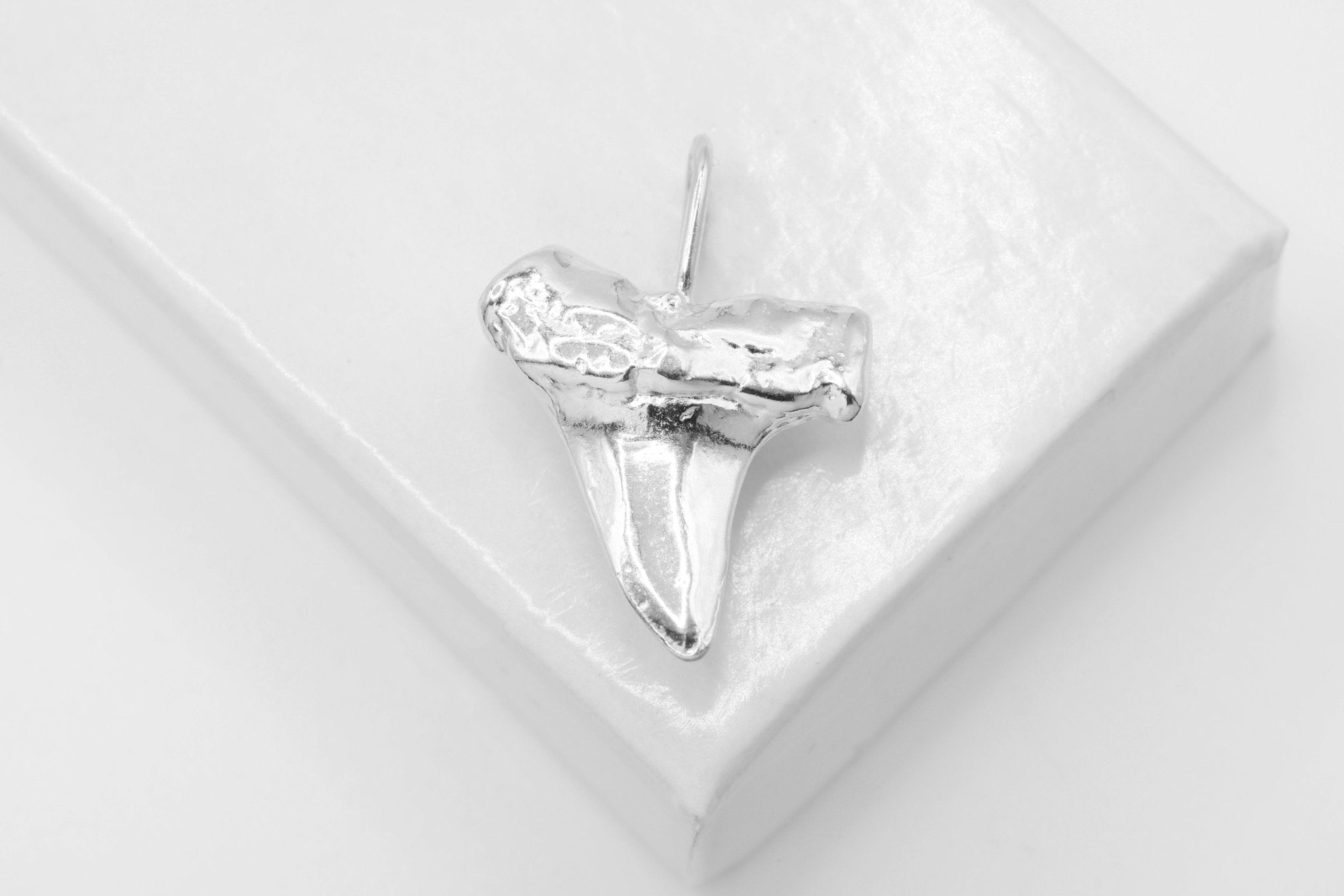 Shark Tooth Pendant Charm, Wholesale, 925 Sterling Silver, 22mm x 15mm - HarperCrown
