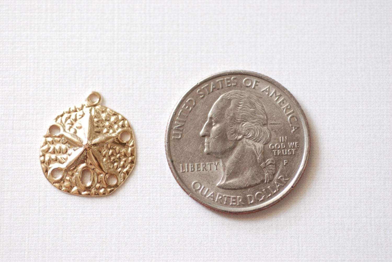 Sand Dollar Charm, Wholesale, 14/20 Gold-Filled, 18mm, Beach Wedding Sea Life Ocean Animal