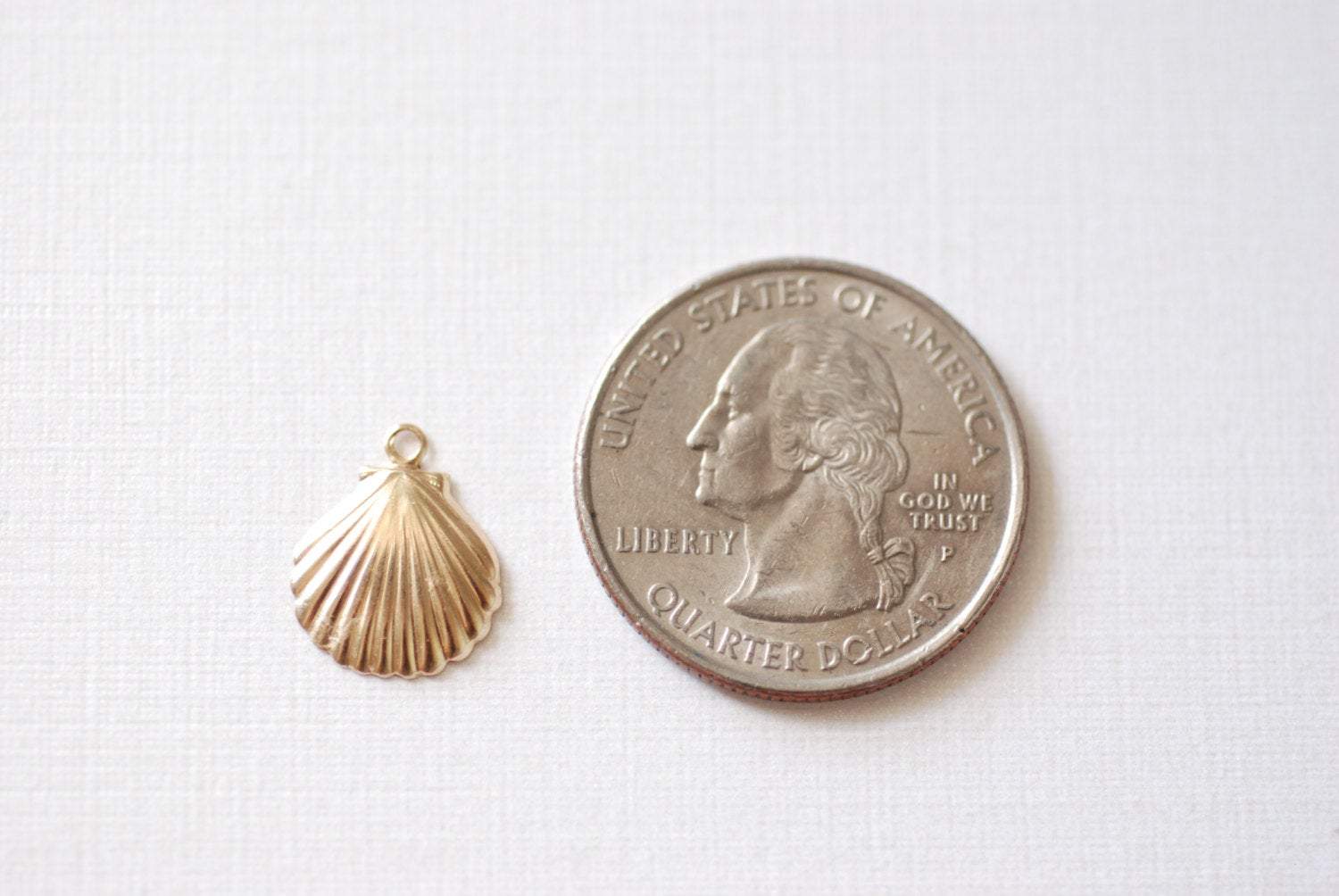 Seashell Clamshell Charm, Wholesale, 14/20 Gold-Filled, 14mm x 11mm, Seashell Ocean Sealife Scallop Shell