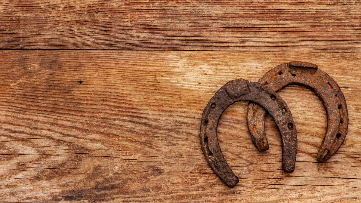 Horseshoe Meaning & Symbolism