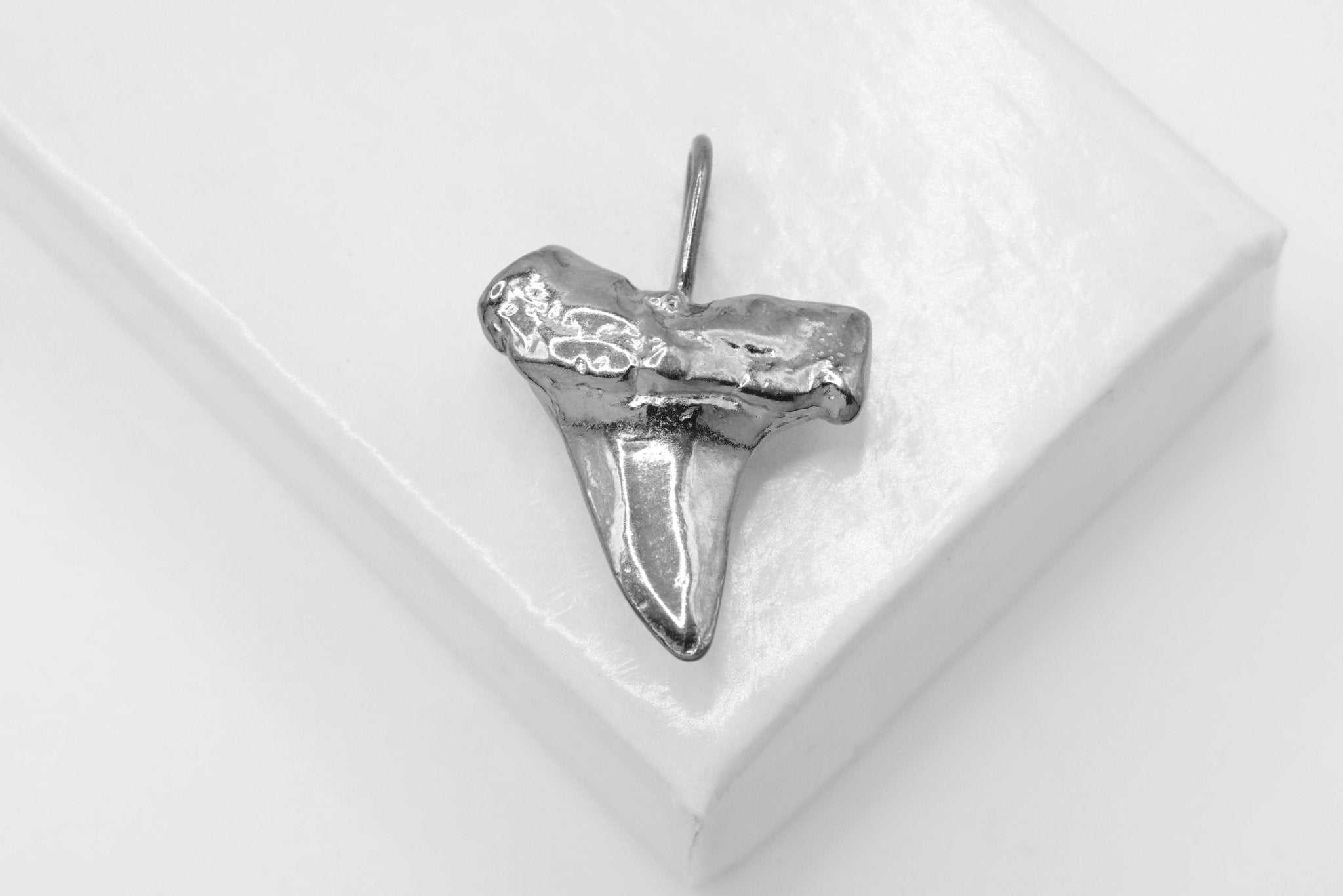 Shark Tooth Pendant Charm, Wholesale, 18K Black Gold - Plated 925 Sterling Silver, 22mm x 15mm - HarperCrown
