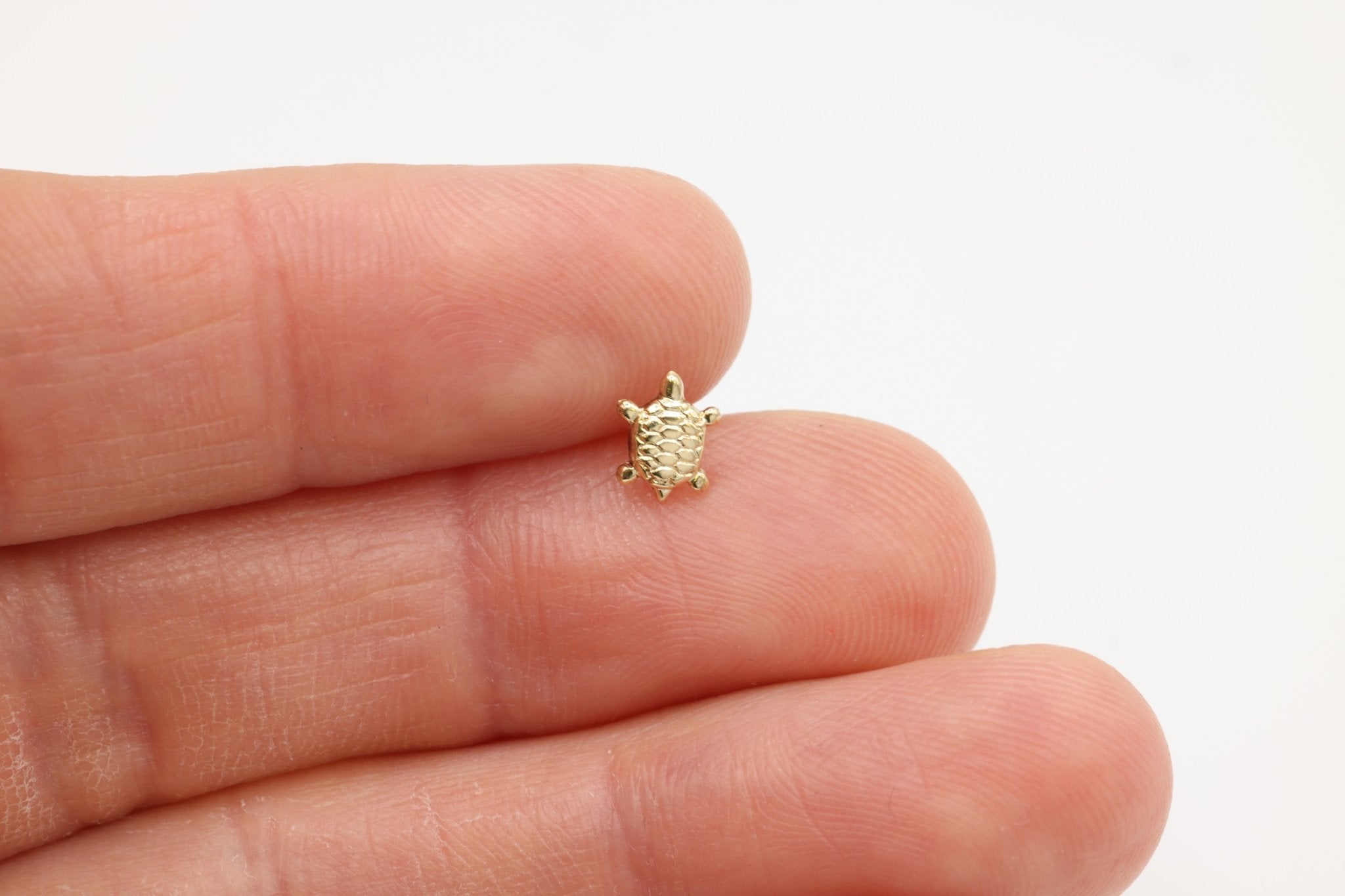 Turtle Stud Earring, 14/20 Gold - Filled, 8mm x 5mm, Wholesale, Sea Turtle Dainty Minimalist Jewelry Earrings - HarperCrown