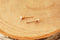 14k Gold Filled Opal 3mm Stud Earrings Minimalist Earrings October Birthstone Earrings Tiny Opal Stud Earrings Round 3mm Opal Gold Studs