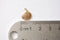 14k gold Wholesale filled SHELL Pendant Charm,Gold Filled Sea Shell Seashell, ocean sea life Charms, Gold Filled Scallop Shell Charm,  R228-09