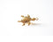 14k Gold Wholesale Filled Turtle Charm, Gold Turtle Charm, Turtle Charm, Sea Turtle Charm, Gold Filled Charms, Gold Filled Turtle Charm,  R228-10