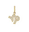 14kt Yellow Gold Zodiac Charm I Solid Gold Astrology Charm Pendant Cubic Zirconia Wholesale - HarperCrown
