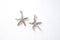 Wholesale Sterling Silver Starfish Charm, 925 silver sea life charm, STARFISH PENDANTS Charms, 925 Sterling Silver Star Fish, 71