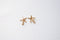 2 pcs Wholesale 14k Gold Filled Starfish Charm- Beach Ocean Sea life Charm, Gold Filled Star Charm, 14KGF Starfish, Gold Star Fish Charm,  R228-05
