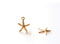 2 pcs Wholesale 14k Gold Filled Starfish Charm- Beach Ocean Sea life Charm, Gold Filled Star Charm, 14KGF Starfish, Gold Star Fish Charm,  R228-05
