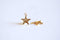 Shiny Gold Vermeil Star Blank Charm- 22k gold plated Sterling Silver Star Charm, Small Gold Star Blanks, Pentagon Charm, Beads, 181