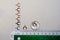 Shiny Wholesale Gold Crescent Moon Charm- Small Crescent Charm, Double Horn, Gold Half Moon, Tiny horn Charm, Upside Down Crescent, Letter C, 274
