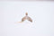 Mermaid Tail Charm- 925 Sterling Silver Whale Tail Charm, Mermaid Charm, Dolphin Tail, Mermaid Jewelry, Ocean Beach Charm, Sea, Beach, J433 - HarperCrown