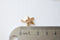 Shiny Gold Starfish Charm- 18k gold plated over sterling silver, gold starfish charm pendant, sea life charm, Gold Sea Shell Charm, 103 - HarperCrown