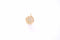 Star Micro Pave CZ Disc Charm | 16K Gold Plated Brass | Cubic Zirconia North Star Celestial Night Sky HarperCrown Wholesale Charms B312 - HarperCrown