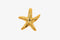 Starfish Charm Wholesale 14K Gold, Solid 14K Gold, G131 - HarperCrown