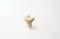 Sterling Silver Shark tooth - 925 silver, animal tooth charm, Gold or silver Shark tooth Charm Pendant, Wholesale, Bulk, Beads, 73 - HarperCrown