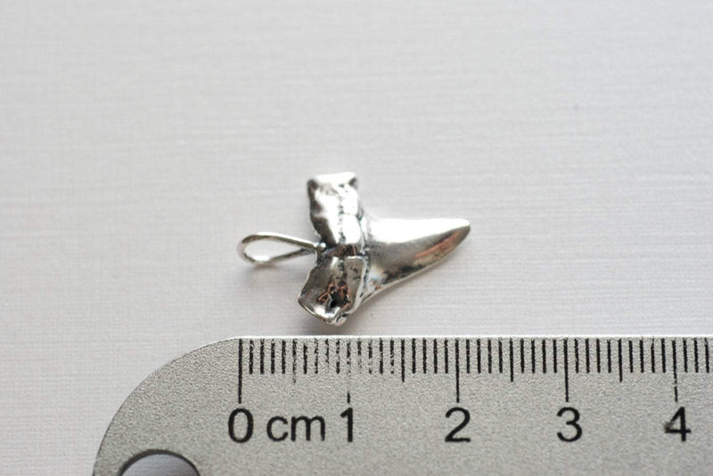 Sterling Silver Shark Tooth Pendant,Large Shark tooth, Vermeil or Sterling Silver Shark tooth, Silver Shark tooth Charm - HarperCrown