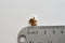 Vermeil Shiny Gold Elephant Charm- 18k gold plated over sterling silver, Elephant Pendant Charm, Vermeil Gold Elephant Bead, Beads, 100 - HarperCrown